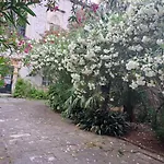 Renaissance With Terrace & Garden