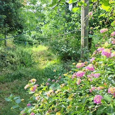 Daire Renaissance With Terrace & Garden