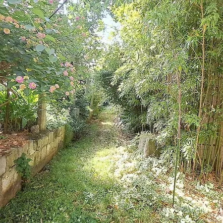 Apartment Renaissance With Terrace & Garden *