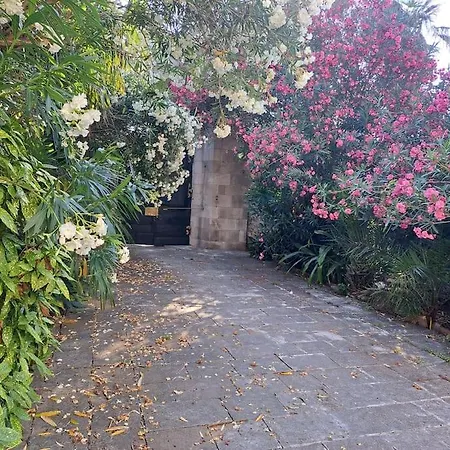 Renaissance With Terrace & Garden דירה דוברובניק