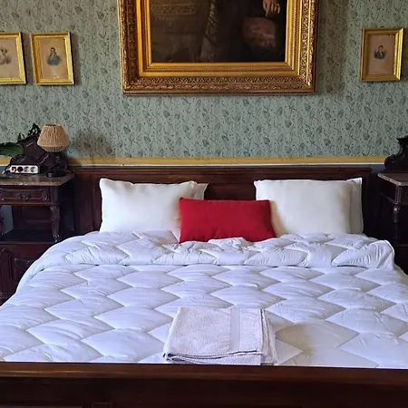 Renaissance With Terrace & Garden Apartment