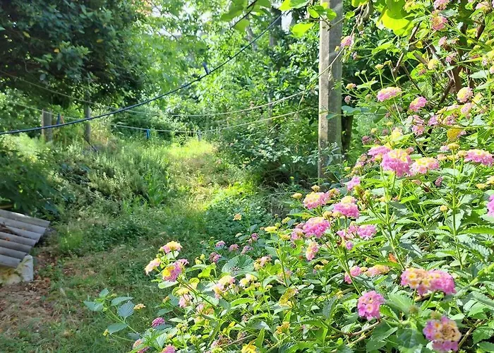 Apartment Renaissance With Terrace & Garden