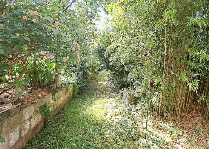 Apartment Renaissance With Terrace & Garden *