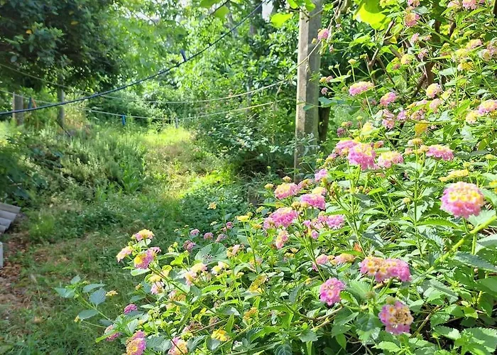 Apartment Renaissance With Terrace & Garden Dubrovnik