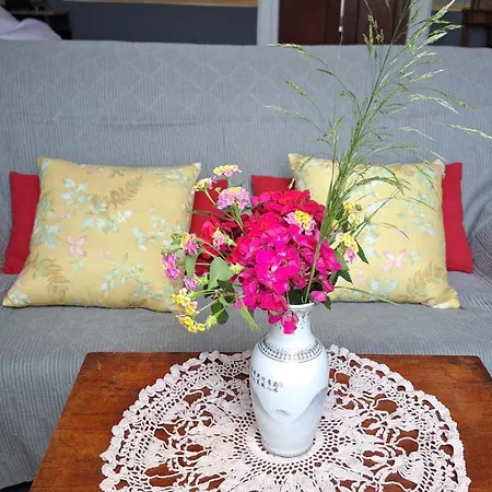 Appartement Renaissance With Terrace&garden